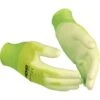 Tuinhandschoenen GREEN - Maat 10 - 1 Paar 1 Tuinhandschoenen GREEN - Maat 10 - 1 Paar -Tuingereedschap Winkel 1563345207 1 600