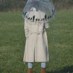 ESSCHERT DESIGN Paraplu Transparant Vogels Op Draad -Tuingereedschap Winkel 1583744711 4 600