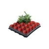 Tray Met 20 Kweekpotjes 6 Cm -Tuingereedschap Winkel 1597239142 1 600