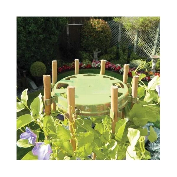 Bamboehouder Bonen En Erwten - Olijfgroen 4 Bamboehouder Bonen En Erwten - Olijfgroen - Afbeelding 2