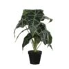 Kunstplant Alocasia In Pot - 30 × 50 Cm -Tuingereedschap Winkel 1633703190 1 600
