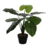 Kunstplant Taro In Pot - 60 × 60 Cm -Tuingereedschap Winkel 1633948437 1 600