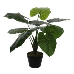 Kunstplant Taro In Pot - 60 × 60 Cm
