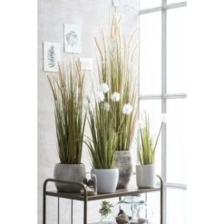Kunstplant Pluimgras Dogtail In Pot - 35 × 92 Cm -Tuingereedschap Winkel 1633956254 3 600