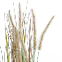Kunstplant Pluimgras Dogtail In Pot - 35 × 92 Cm -Tuingereedschap Winkel 1633956287 1 600