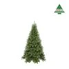 Kerstboom Tuscan 155 Cm Groen - Triumph Tree 2 Kerstboom Tuscan 155 Cm Groen - Triumph Tree -Tuingereedschap Winkel 1663227745 1 600