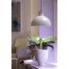 Groeilamp Led Florabooster 500 - 6,5W - Wit 1 Groeilamp Led Florabooster 500 - 6,5W - Wit -Tuingereedschap Winkel 1677504262 1 600