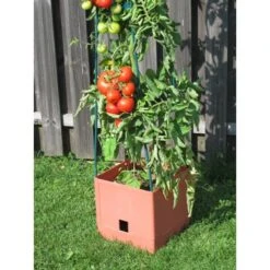 Plantentoren Maxitom Met Waterreservoir - Terracotta 10 Plantentoren Maxitom Met Waterreservoir - Terracotta -Tuingereedschap Winkel 1677510667 3 600