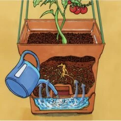 Plantentoren Maxitom Met Waterreservoir - Terracotta 11 Plantentoren Maxitom Met Waterreservoir - Terracotta -Tuingereedschap Winkel 1677510668 5 600