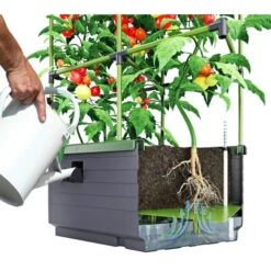 Kweekbak City Jungle Basic Met Klimframe 11 Kweekbak City Jungle Basic Met Klimframe -Tuingereedschap Winkel 1677572003 2 600