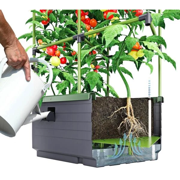 Kweekbak City Jungle Basic Met Klimframe 6 Kweekbak City Jungle Basic Met Klimframe - Afbeelding 4