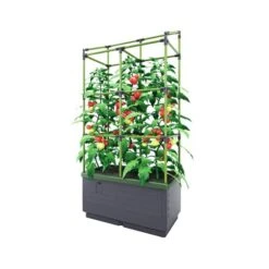 Kweekbak City Jungle Basic Met Klimframe 9 Kweekbak City Jungle Basic Met Klimframe -Tuingereedschap Winkel 1677572003 3 600