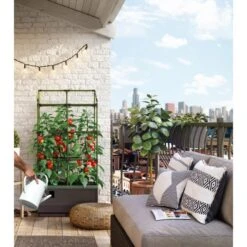 Kweekbak City Jungle Basic Met Klimframe 12 Kweekbak City Jungle Basic Met Klimframe -Tuingereedschap Winkel 1677572004 4 600