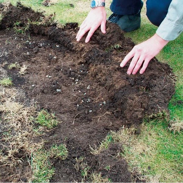 DCM Heteri-Guard - Aaltjes Tegen Engerlingen In Gazon - Voor 10 M² 5 DCM Heteri-Guard - Aaltjes Tegen Engerlingen In Gazon - Voor 10 M² - Afbeelding 3