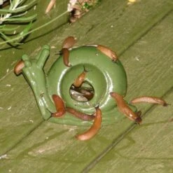 ESSCHERT DESIGN Slakkenval Keramiek - Groen 7 ESSCHERT DESIGN Slakkenval Keramiek - Groen -Tuingereedschap Winkel actie super slakkenval 1484052737 1 600