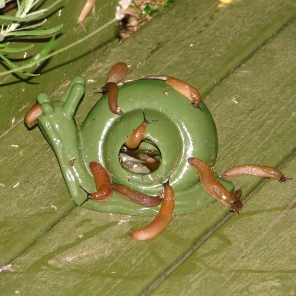 ESSCHERT DESIGN Slakkenval Keramiek - Groen 5 ESSCHERT DESIGN Slakkenval Keramiek - Groen - Afbeelding 3