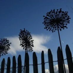 Allium Ø 30 Cm - Decoroest 10 Allium Ø 30 Cm - Decoroest -Tuingereedschap Winkel allium 30 cm decoroest 1512145830 2 600