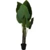 Alocasia Kunststof 155 Cm 2 Alocasia Kunststof 155 Cm -Tuingereedschap Winkel alocasia kunststof 155 cm 1569828799 1 600