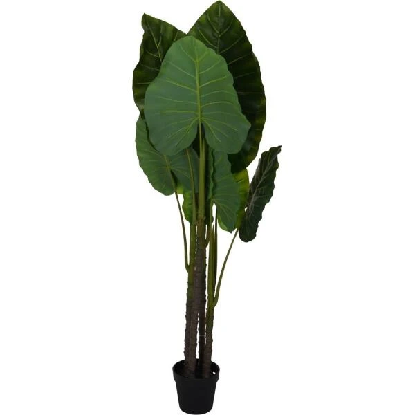 Alocasia Kunststof 155 Cm 3 Alocasia Kunststof 155 Cm
