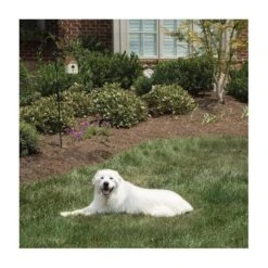 Pet Safe Outdoor Anti-blafhuisje -Tuingereedschap Winkel antiblafhuisje 1484054468 4 600