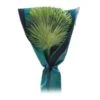 Beschermhoes Palmboom - Groen - 150 Cm 2 Beschermhoes Palmboom - Groen - 150 Cm -Tuingereedschap Winkel beschermhoes palmboom 150 cm 1674116728 1 600