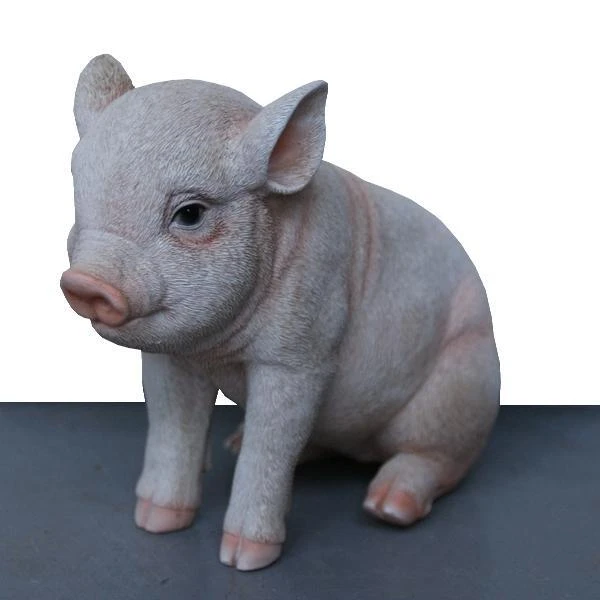 Jong Varkentje Zittend 3 Jong Varkentje Zittend