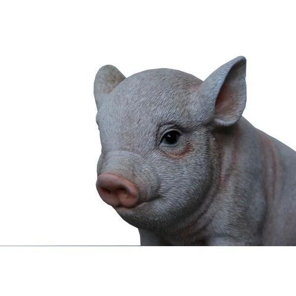 Jong Varkentje Zittend 4 Jong Varkentje Zittend - Afbeelding 2