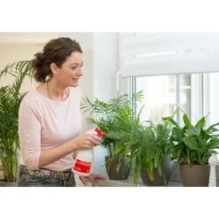 Birchmeier Foxy Plus 10 Birchmeier Foxy Plus -Tuingereedschap Winkel birchmeier foxy plus 1496510253 2 600