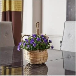 Bloemenmand Hangend - Kunststof 10 Bloemenmand Hangend - Kunststof -Tuingereedschap Winkel bloemenmand hangend kunststof 1539085635 4 600