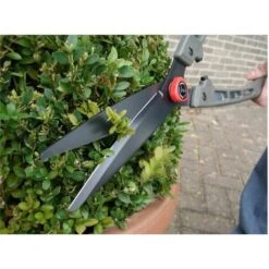 Buxusschaar Saboten 1550 - Professioneel 7 Buxusschaar Saboten 1550 - Professioneel -Tuingereedschap Winkel buxusschaar pro saboten 1550 1603887694 3 600