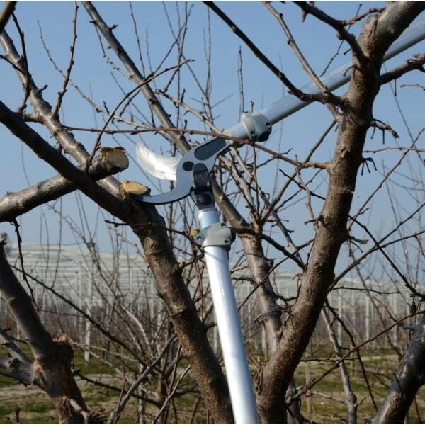 Bypass Takkenschaar Felco 220 - 80 Cm 4 Bypass Takkenschaar Felco 220 - 80 Cm - Afbeelding 2