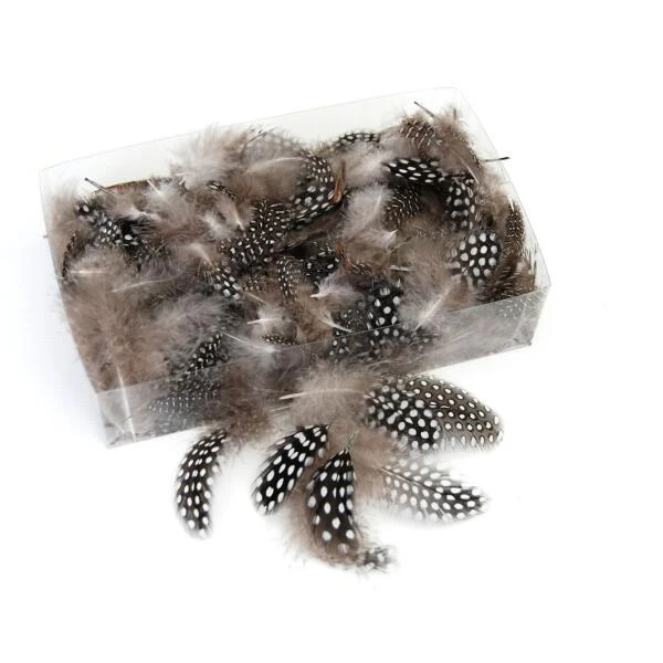 Decoratieve Pluimen - Parelhoen Naturel 3 Decoratieve Pluimen - Parelhoen Naturel