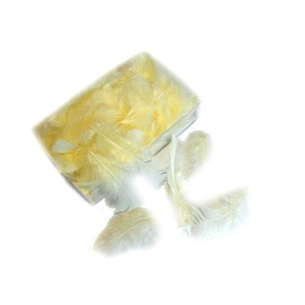 Decoratieve Pluimen - Parelmoer 3 Decoratieve Pluimen - Parelmoer