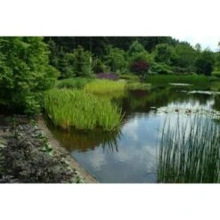 Ecoo Tuin- Of Vijverafboording Ecolat 14 Cm - 10 M Grijs 11 Ecoo Tuin- Of Vijverafboording Ecolat 14 Cm - 10 M Grijs -Tuingereedschap Winkel ecolat 10 m 1484063064 4 600