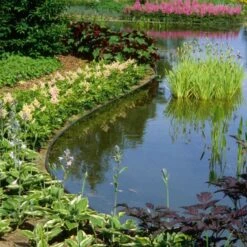 Ecoo Tuin- Of Vijverafboording Ecolat 14 Cm × 25 M - Grijs 13 Ecoo Tuin- Of Vijverafboording Ecolat 14 Cm × 25 M - Grijs -Tuingereedschap Winkel ecolat tuinafboording 25m x 14 cm 1627911849 1 600