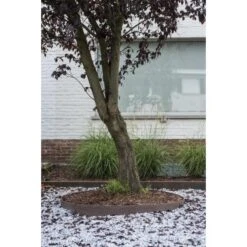 Ecoo Tuin- Of Vijverafboording Ecolat 14 Cm × 25 M - Bruin 11 Ecoo Tuin- Of Vijverafboording Ecolat 14 Cm × 25 M - Bruin -Tuingereedschap Winkel ecolat tuinafboording bruin 14 cm x 25 m 1493024718 2 600