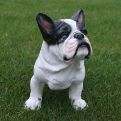 Franse Bulldog Tuinbeeld