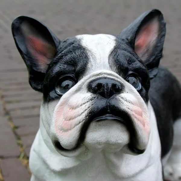 Franse Bulldog Tuinbeeld 6 Franse Bulldog Tuinbeeld - Afbeelding 4