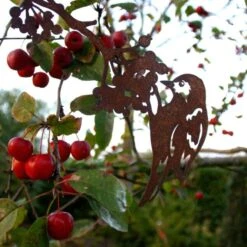 Goudvink Op Tak Lijsterbes 7 Goudvink Op Tak Lijsterbes -Tuingereedschap Winkel goudvink op tak lijsterbes 1510652971 1 600