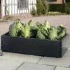 Groeibed 97,5 × 50 × 25 Cm 1 Groeibed 97,5 × 50 × 25 Cm -Tuingereedschap Winkel groeibed 975 x 50 x 25 cm 1484055485 1 600