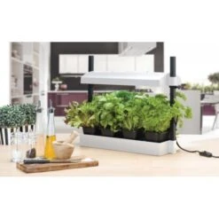 Tuingereedschap Winkel -Tuingereedschap Winkel groeilicht met kweekset wit 1484067835 1 600