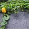 Gronddoek 2 M × 5 M (90 G/m²) -Tuingereedschap Winkel gronddoek 2 m x 5 m 100gm 1553159982 1 600