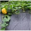 Gronddoek 3 × 6 M (90 G/m²) 2 Gronddoek 3 × 6 M (90 G/m²) -Tuingereedschap Winkel gronddoek 3 x 6 m 90 gm 1615194890 1 600