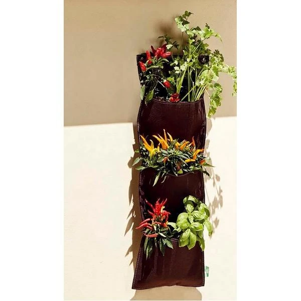 Hangende Moestuin Met 3 Vakken - 26 × 70 Cm 4 Hangende Moestuin Met 3 Vakken - 26 × 70 Cm - Afbeelding 2