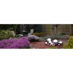 Heksenbollen Inox - Set Van 3 Stuks 11 Heksenbollen Inox - Set Van 3 Stuks -Tuingereedschap Winkel heksenbollen inox 1484053750 5 600