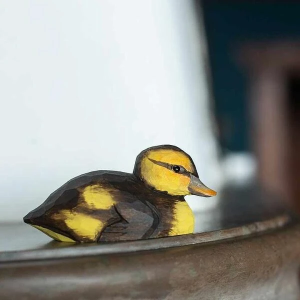 Houten Eendenjong 3 Houten Eendenjong