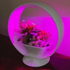 Mini Tuin Jardin Secret Met Verlichting En Bluetooth - Rond 7 Mini Tuin Jardin Secret Met Verlichting En Bluetooth - Rond -Tuingereedschap Winkel jardin secret met bluetooth rond 1602065218 3 600