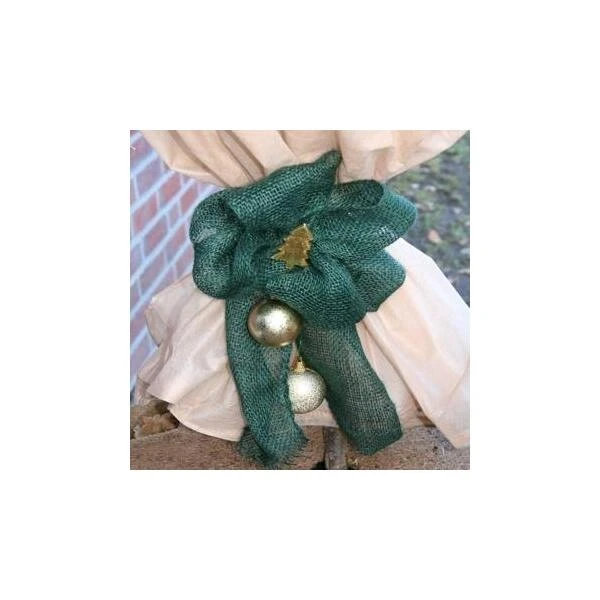 Jute Band - Groen - 12 Cm × 3 M 3 Jute Band - Groen - 12 Cm × 3 M