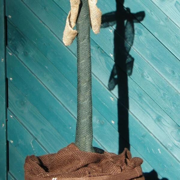 Jute Band - Groen - 12 Cm × 3 M 6 Jute Band - Groen - 12 Cm × 3 M - Afbeelding 4