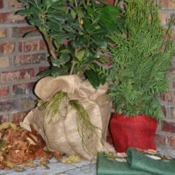 Jutezak - Naturel - 60 × 80 Cm -Tuingereedschap Winkel jutezak 60 x 80 naturel 1486635322 0 600